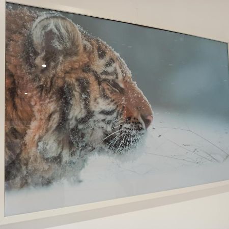 A 4 min du Zoo de Beauval La Maison à Partager Ch4 2ème étage Saint-Aignan  Extérieur photo