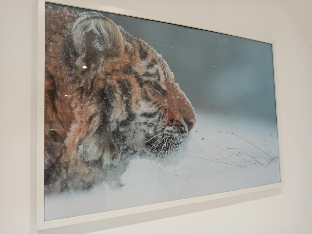 A 4 min du Zoo de Beauval La Maison à Partager Ch4 2ème étage Saint-Aignan  Extérieur photo